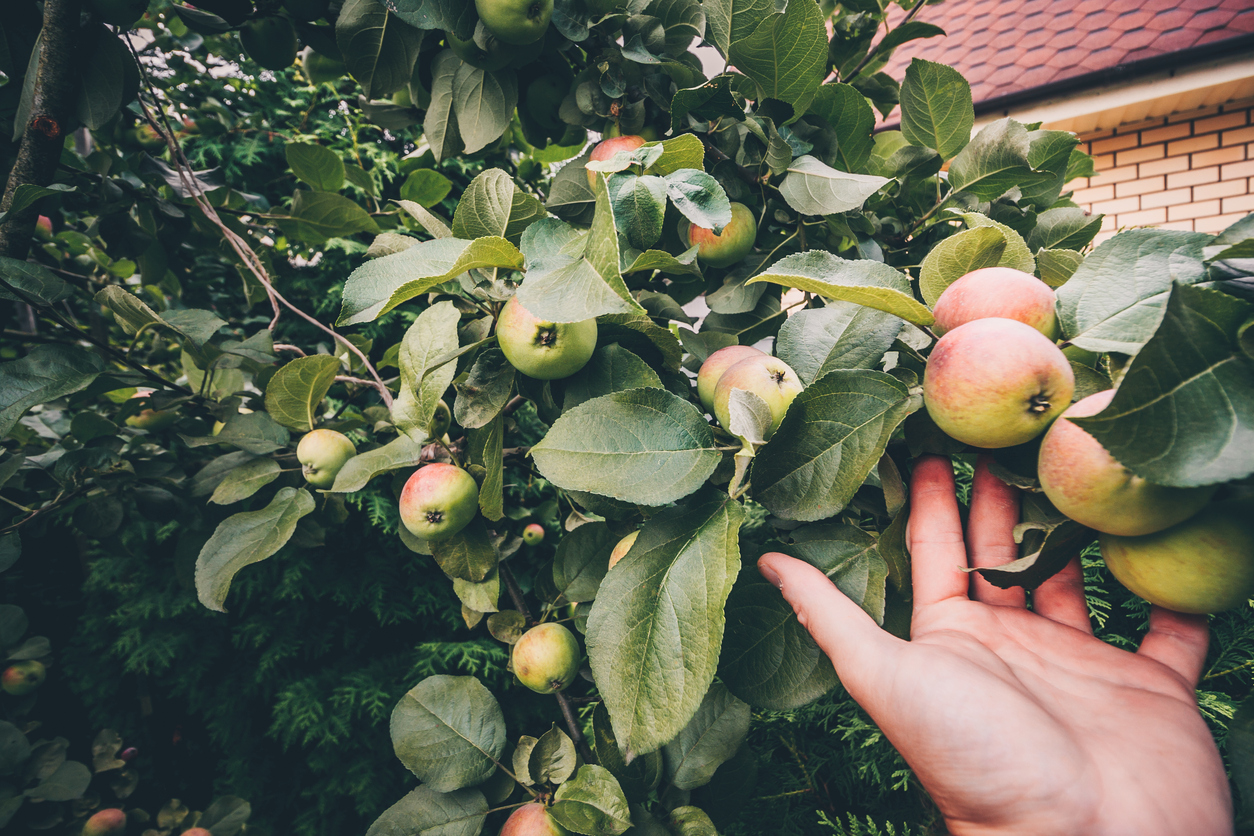 フルーツフル イングリッシュ 英語で書いてみると Fruitful Englishのおいしいブログ 英語の学び