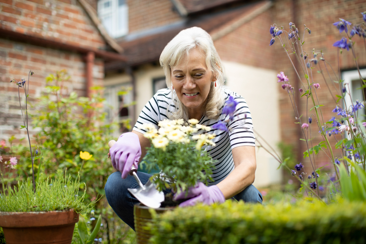 3分で使える英語表現 Green Thumb 緑の親指 とは Fruitful Englishのおいしいブログ 英語の学び