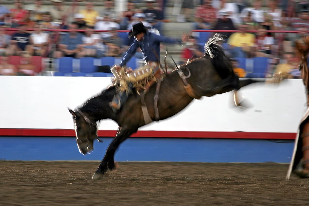 海外ドラマから学ぶイディオム】”It's not my first rodeo.” この意味 ...