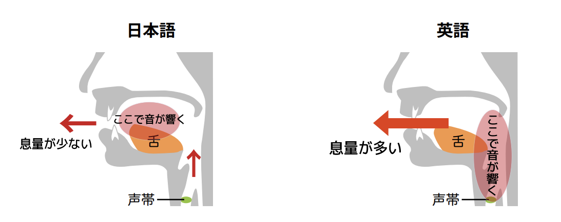 音声変化サミット “Flow” 口